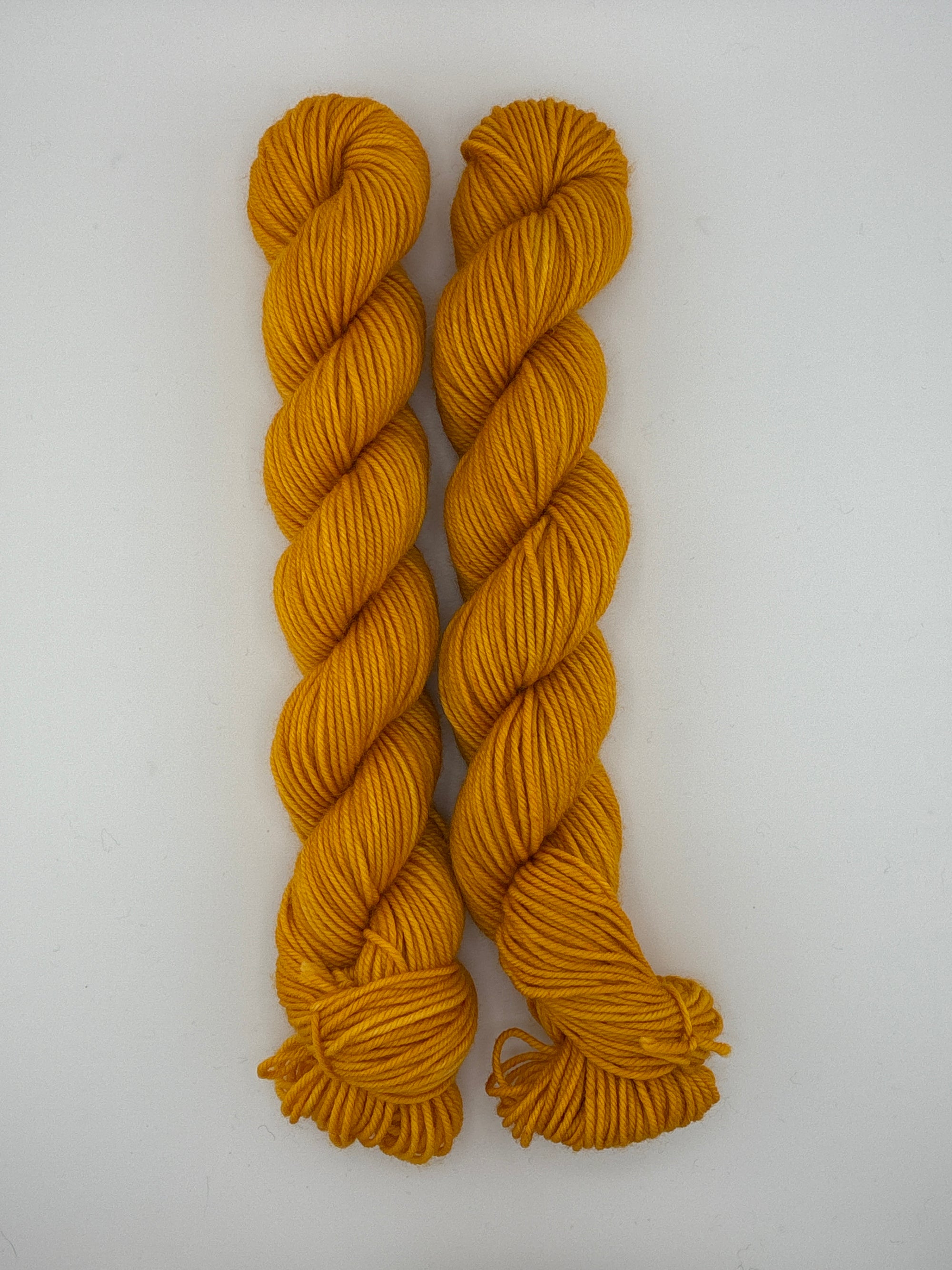 Sun Valley Fibers BFL DK Mini Skeins