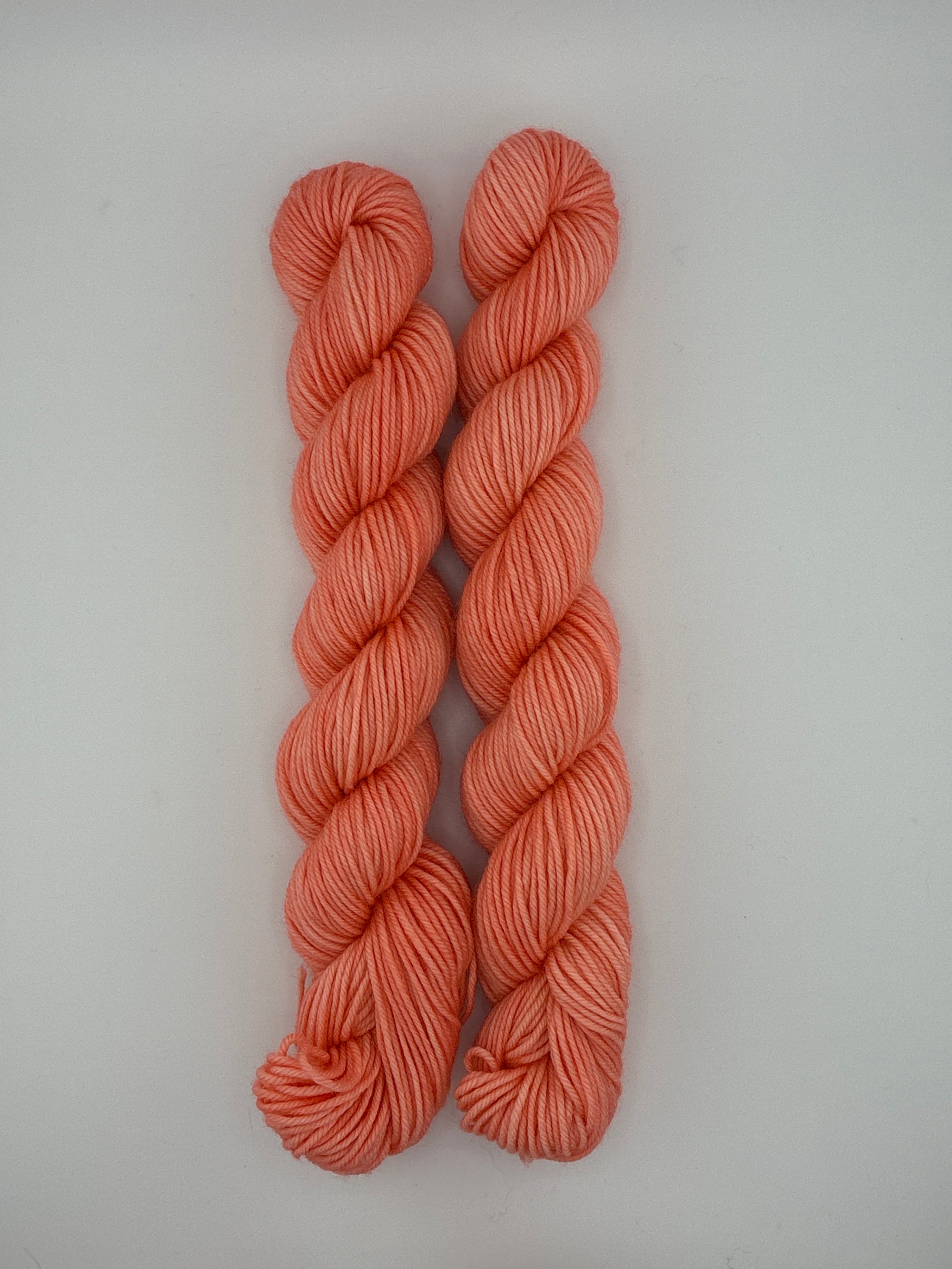 Sun Valley Fibers BFL DK Mini Skeins
