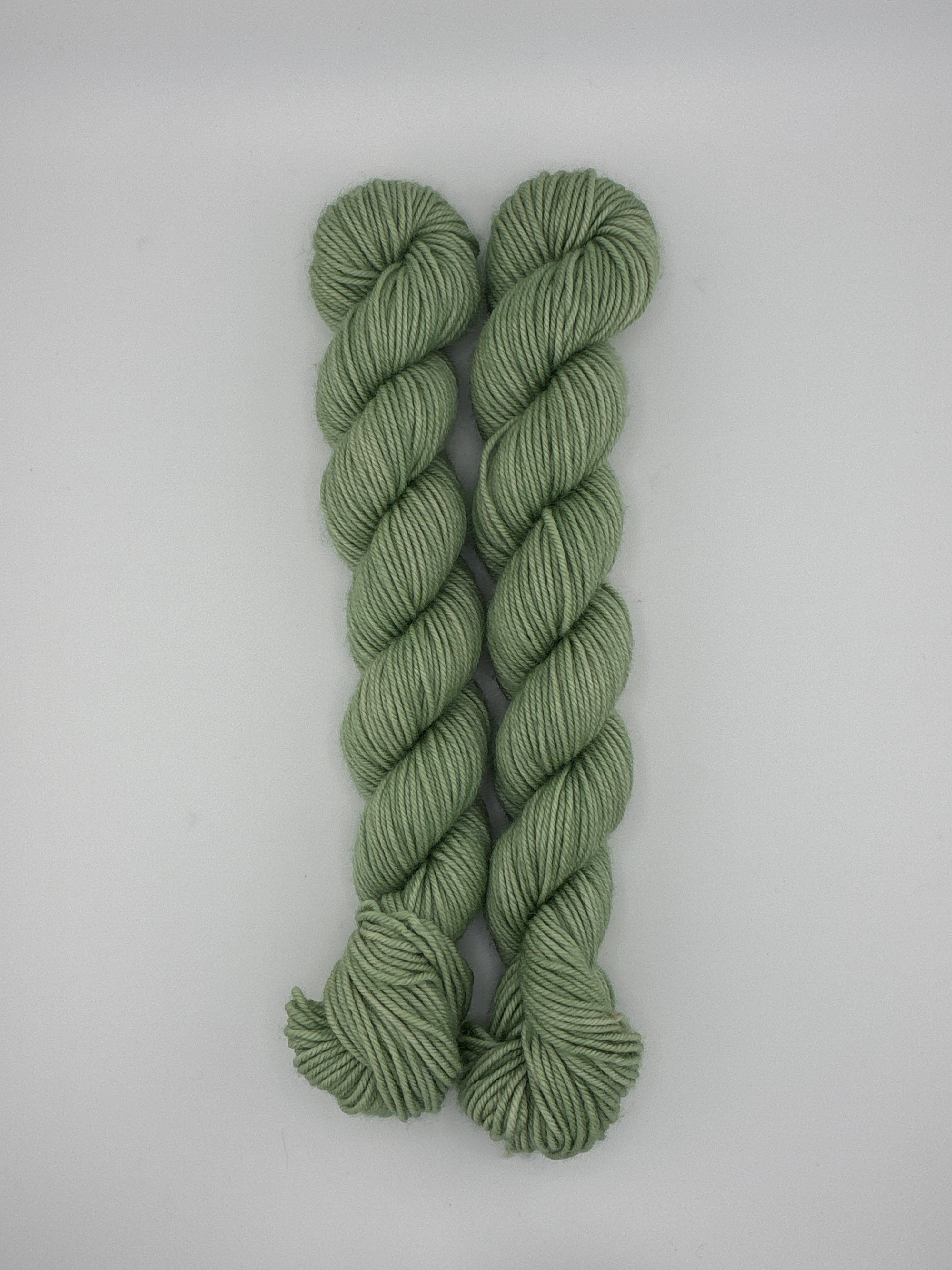 Sun Valley Fibers BFL DK Mini Skeins