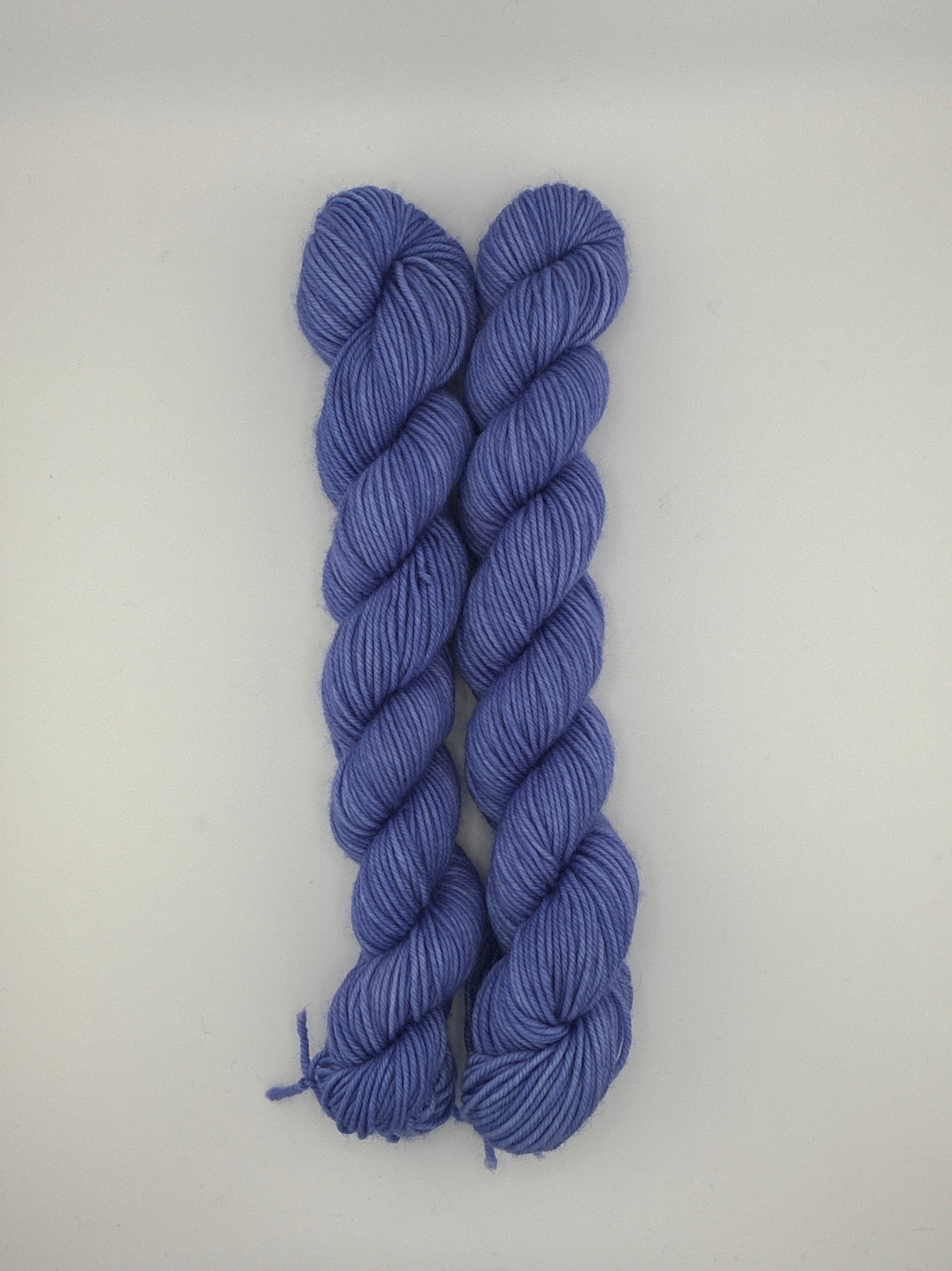 Sun Valley Fibers BFL DK Mini Skeins