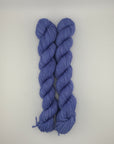 Sun Valley Fibers BFL DK Mini Skeins