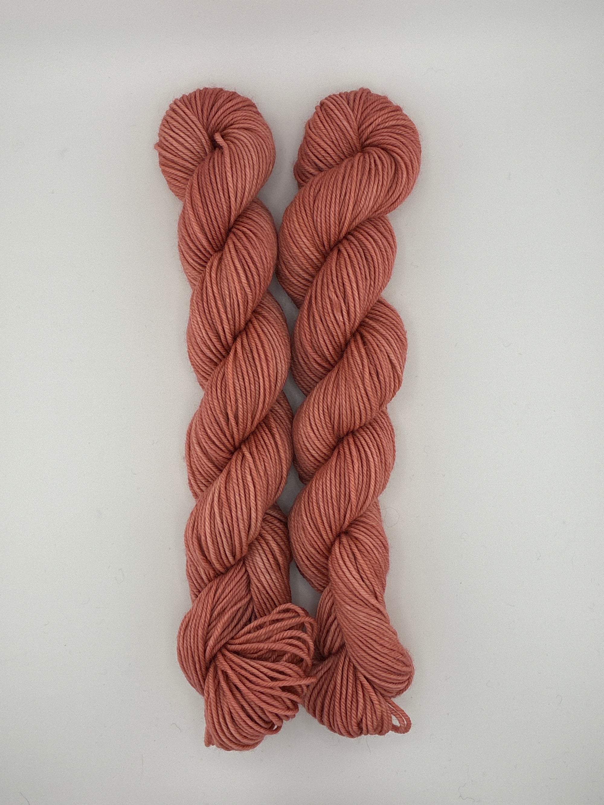 Sun Valley Fibers BFL DK Mini Skeins
