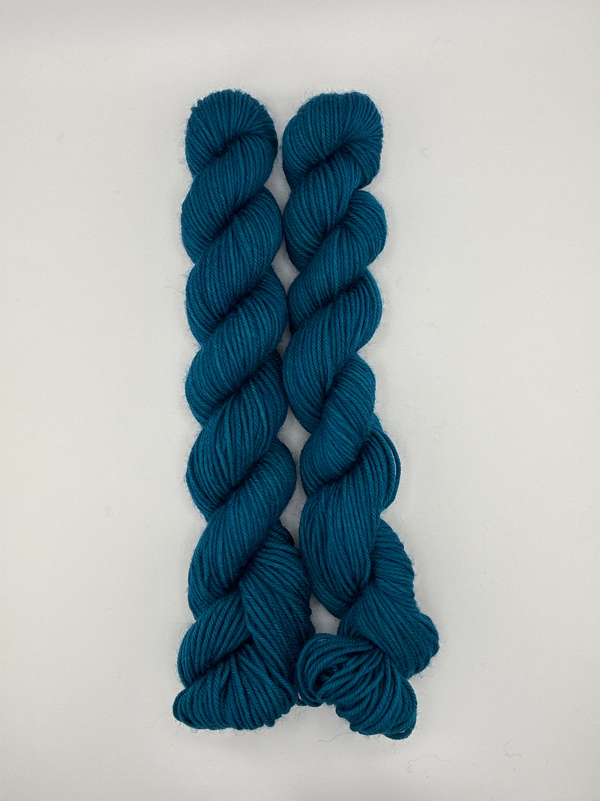 Sun Valley Fibers BFL DK Mini Skeins