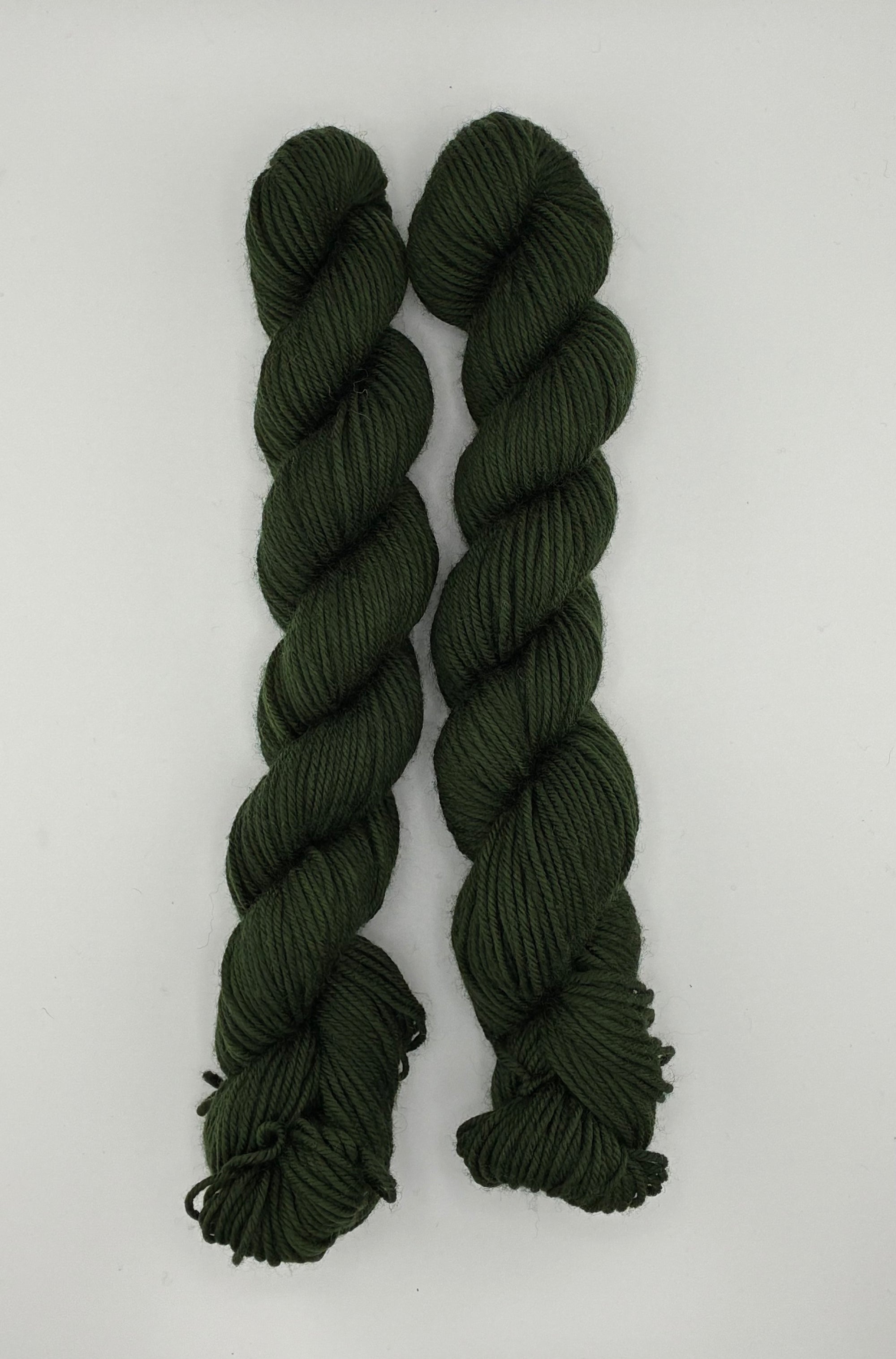 Sun Valley Fibers BFL DK Mini Skeins