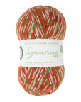 West Yorkshire Spinners (WYS) Signature 4 ply
